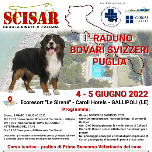 1° Raduno Bovari Svizzeri Puglia